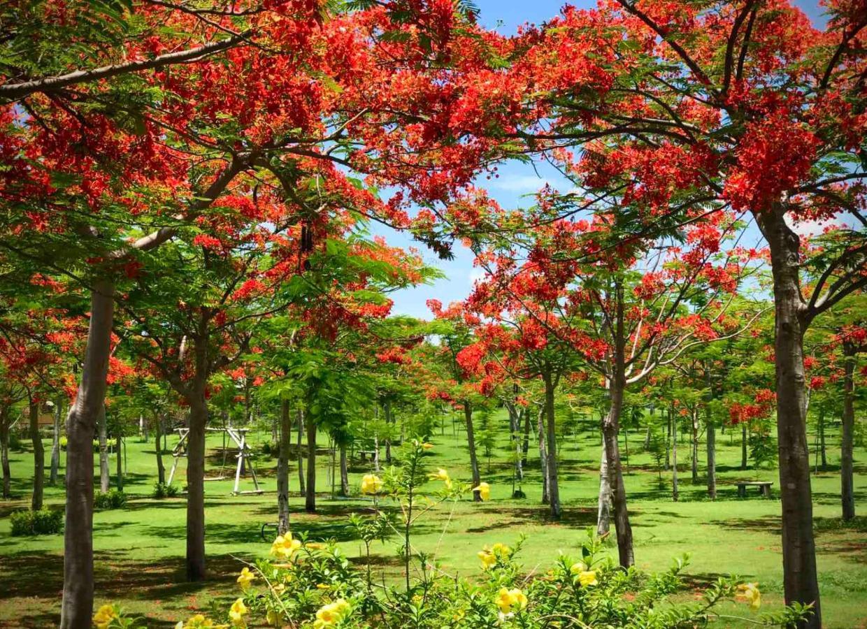 Ttc Resort - Doc Let Ấp Ninh Hòa Zewnętrze zdjęcie